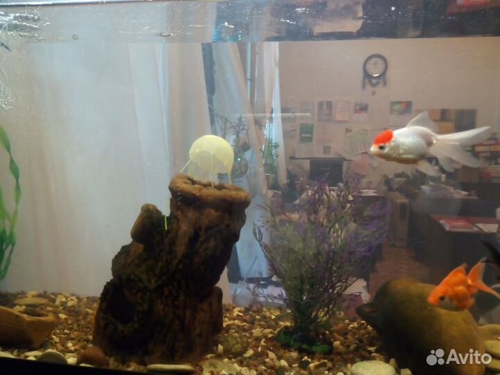 Ремонт стиральных машин, духовых шкафов, вытяжек