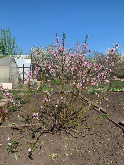 Дом 70 м² на участке 8,9 сот.