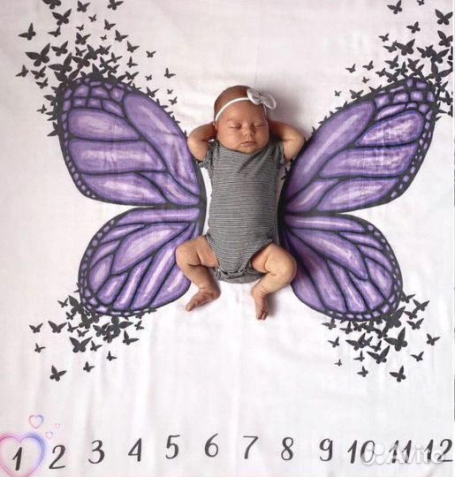 Фотоплед по месяцам