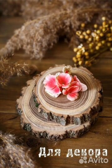 Спил натурального дерева вяз (4 шт.)