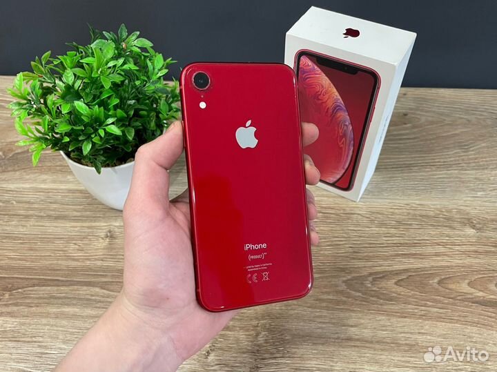 iPhone Xr, 64 ГБ
