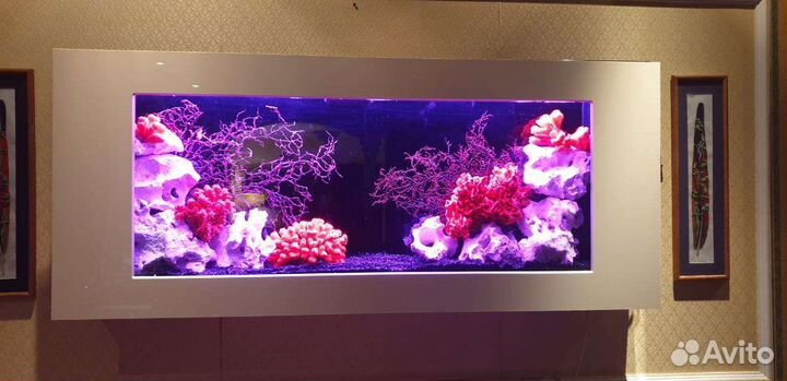 Настенные аквариумы размеры разные