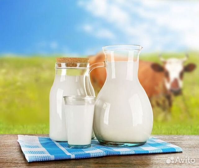 Домашняя молочная продукция оптом