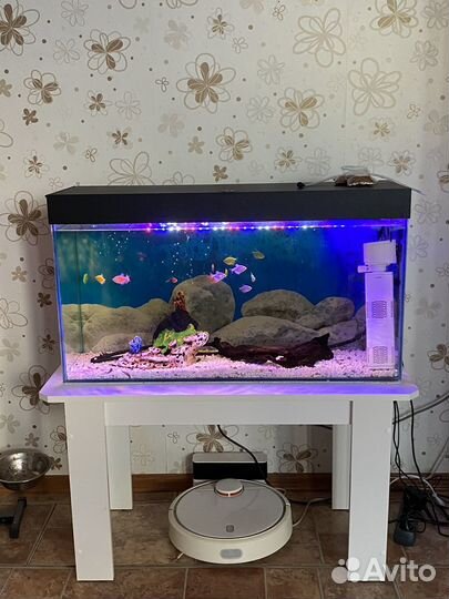 Аквариум с рыбками