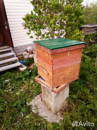 Улеи для пчел с молодыми пчелами, пасека