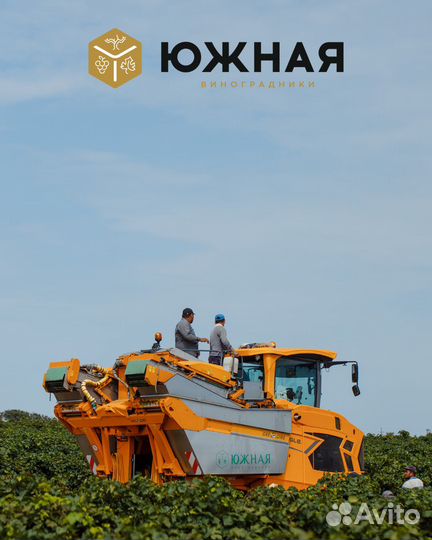 Водитель камаза с прицепом