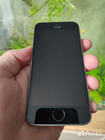 Телефон iPhone 5s