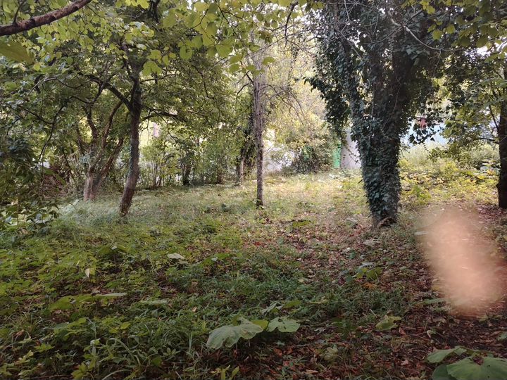 Участок 6,5 сот. (СНТ, ДНП)