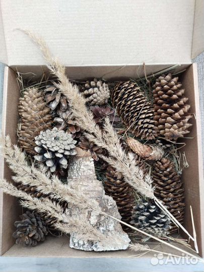 Природный материал набор