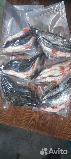Свежая рыба