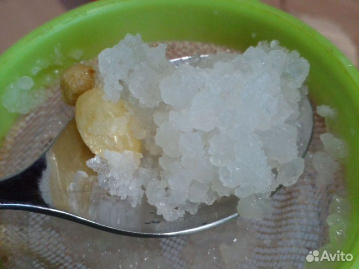 Индийский морской рис