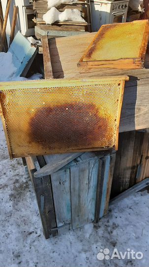 Улей и сушь для пчел