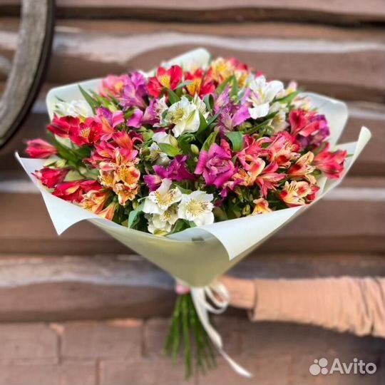 Альстромерия микс 75 шт