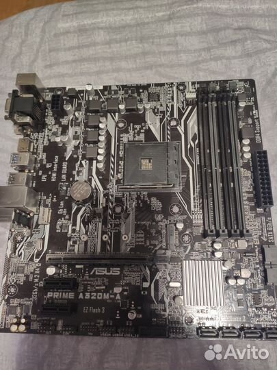 Материнская плата asus Prime a320m-a