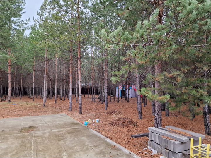 Участок 12 сот. (ИЖС)