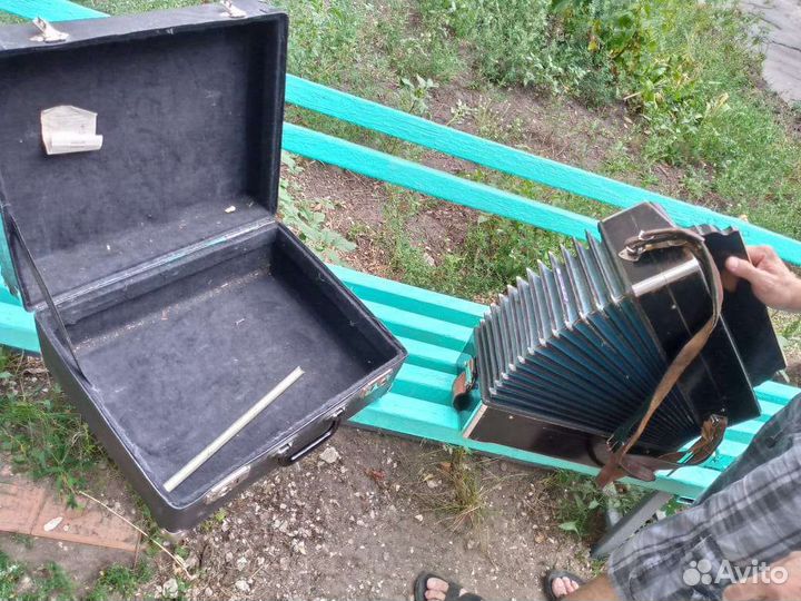 Баян тульский