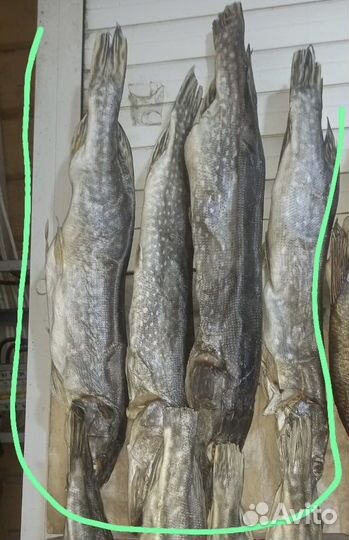 Вобла, лещ, язь, рыбец, тарань. Все малосольное