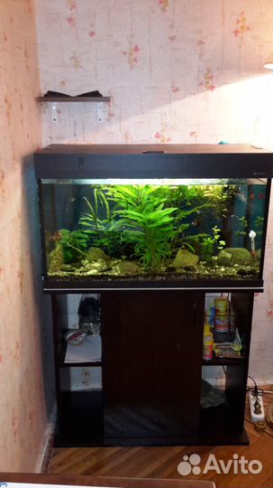 Аквариум