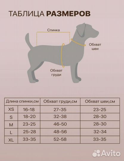 Одежда для собак мелких пород