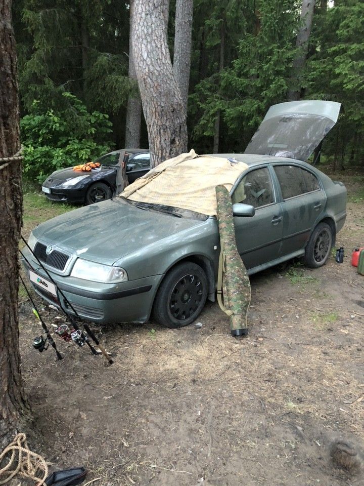 Skoda Octavia: фото владельца