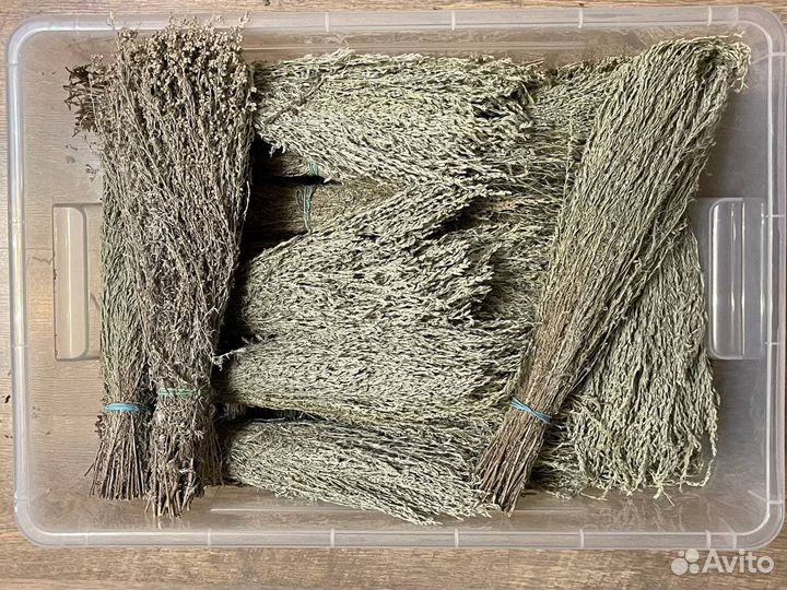 Полынь крымская таврическая серебристая пучки 2022