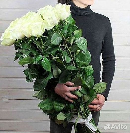 Розы гиганты 140 150 160 170 180 200