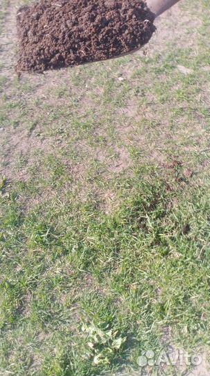 Торф в мешках