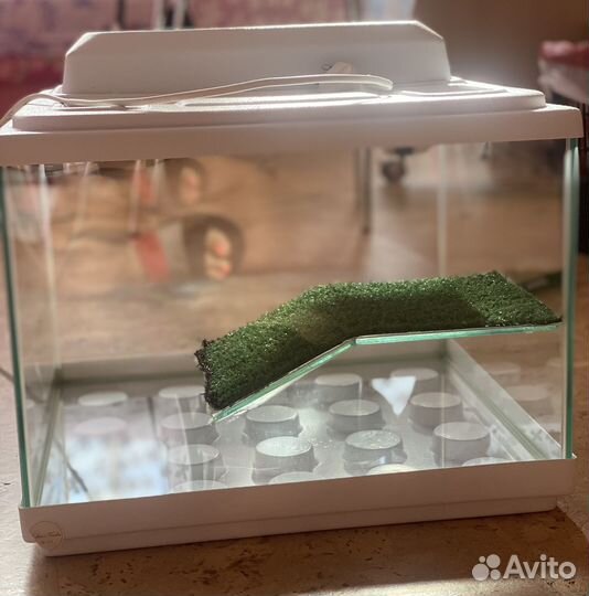 Террариум для красноухой черепахи