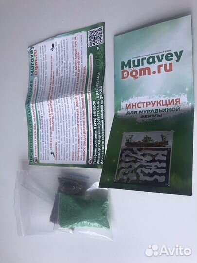 Муравьиная ферма