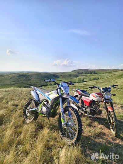 Apollo thunder 250