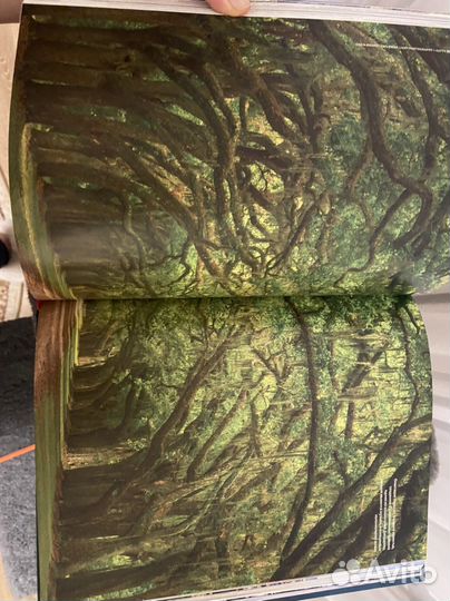 Книга о путешествиях