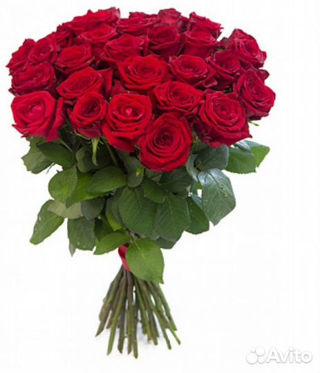 Букет красных роз