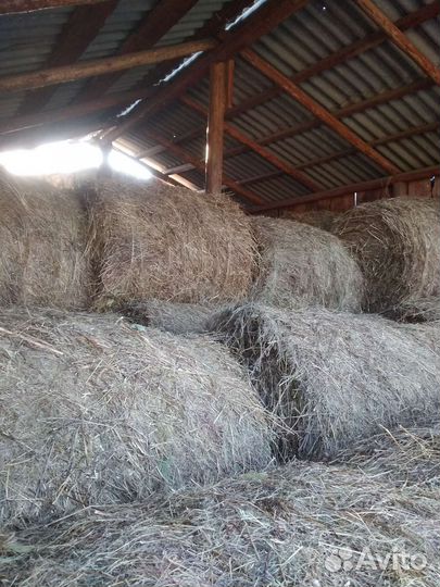 Сено в тюках