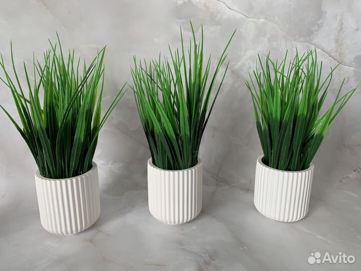 Кашпо с осокой/эвкалиптом/ягелем