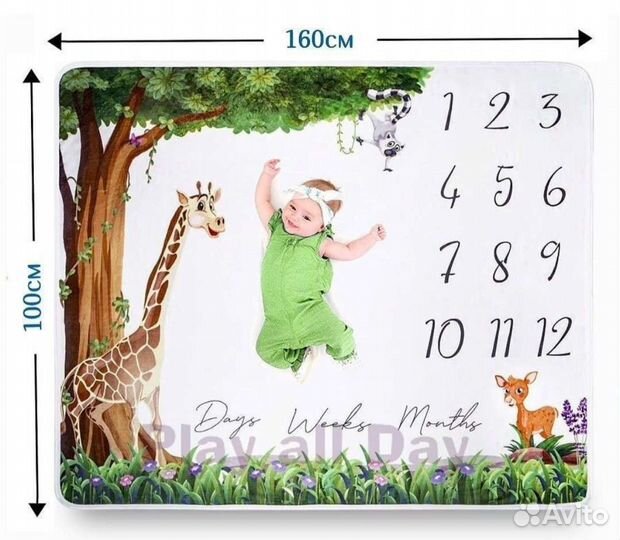 Фотоплед по месяцам