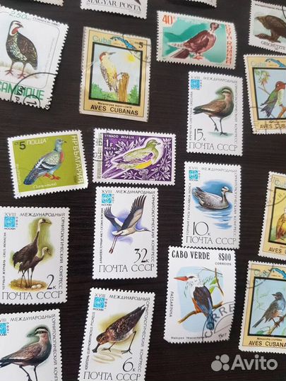 Почтовые марки СССР и других стран с птицами