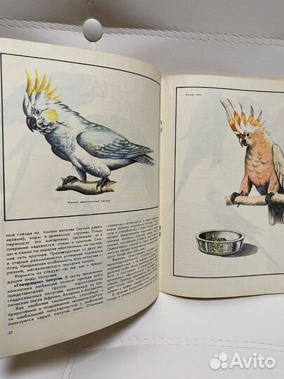 Книга альбом Наши питомцы