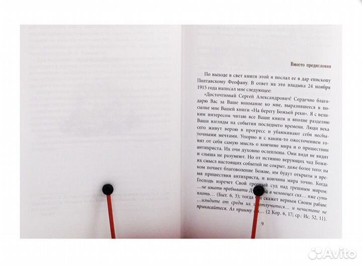 На берегу Божьей реки