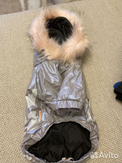 Одежда для собак