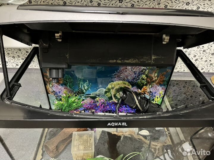 Аквариум