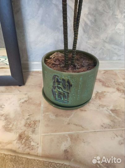 Искусственные цветы