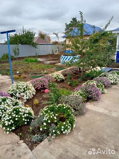 Сентябринки