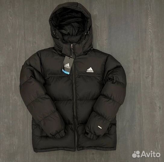 Куртка Adidas мужская зимняя (4 цвета)