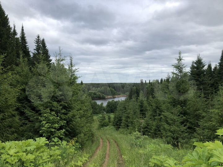 Участок 7,1 га (ИЖС)