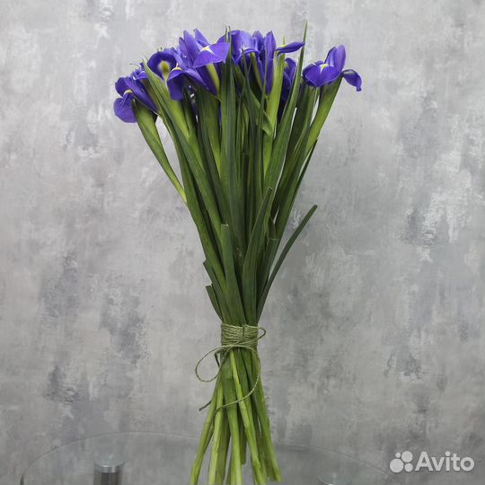 Синий ирис 21