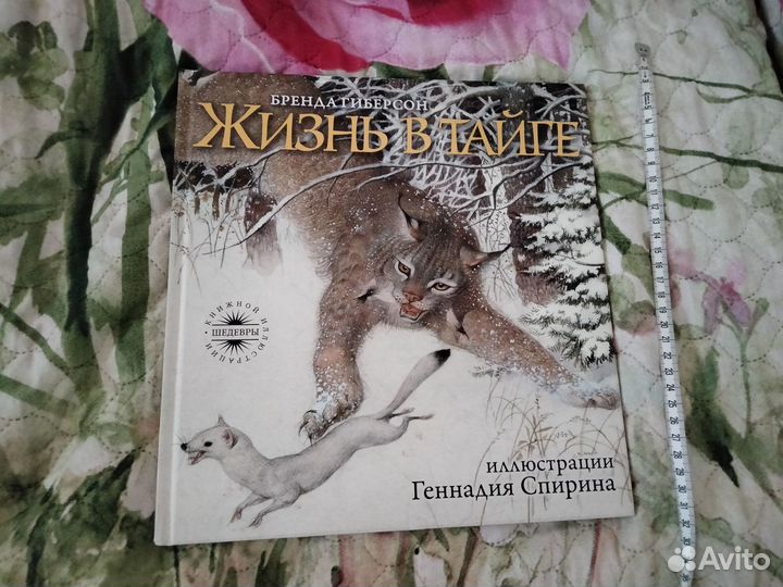 Геннадий Спирин Жизнь в Тайге