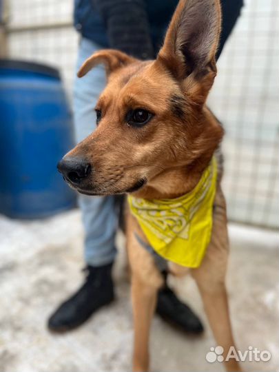 Симпатяга Брюс ждёт вас