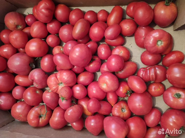 Яблоки, помидоры,огурцы