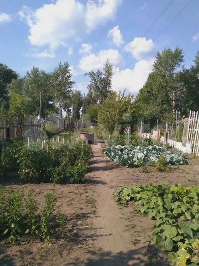Участок 8 сот. (СНТ, ДНП)