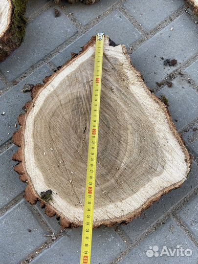 Спил дуба вяз ясень слэб